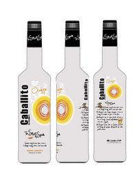 CABALLITO ORANGE logo