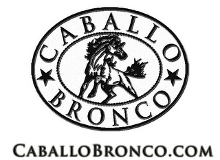 CABALLO BRONCO CABALLOBRONCO.COM logo