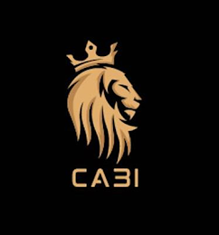 CABI logo