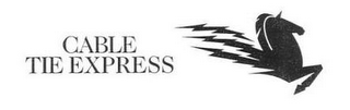 CABLE TIE EXPRESS logo