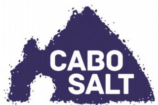 CABO SALT logo