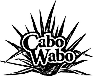 CABO WABO logo