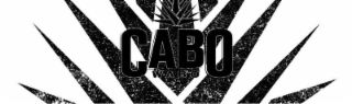 CABO WABO logo