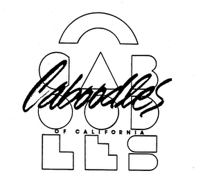 CABOODLES OF CALIFORNIA logo