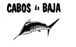 CABOS DE BAJA logo