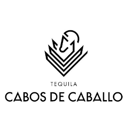 CABOS DE CABALLO TEQUILA logo