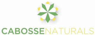 CABOSSE NATURALS logo