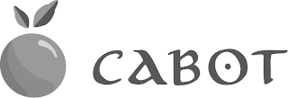 CABOT logo