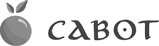 CABOT logo