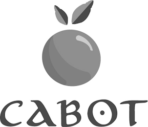 CABOT logo