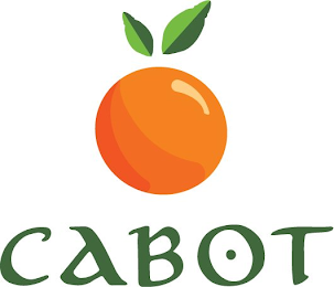 CABOT logo
