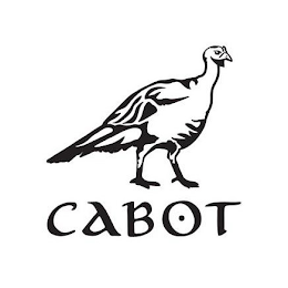 CABOT logo