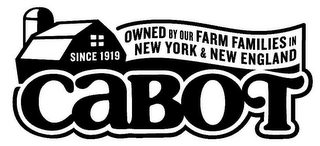 CABOT OWNED BY OUR FARM FAMILIES IN NEW YORK & NEW ENGLAND SINCE 1919 logo