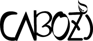 CABOZI logo