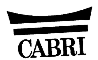 CABRI logo