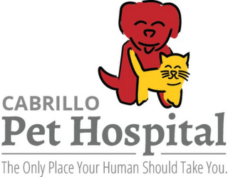 CABRILLO PET HOSPITAL THE ONLY PLACE YOUR HUMAN SHOULD TAKE YOU. logo
