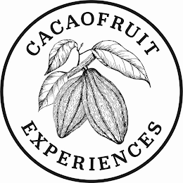 CACAOFRUIT EXPERIENCES logo