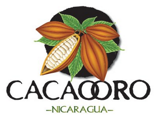 CACAOORO -NICARAGUA- logo