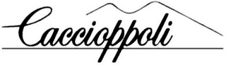 CACCIOPPOLI logo