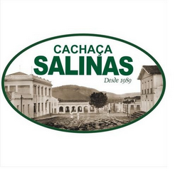 CACHAÇA SALINAS DESDE 1989 logo