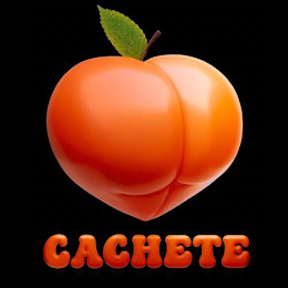 CACHETE logo