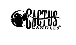 CACTUS CANDLES logo