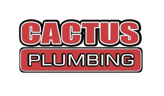 CACTUS PLUMBING logo