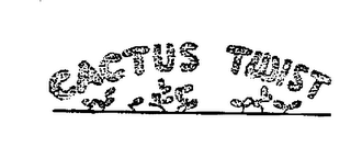 CACTUS TWIST logo