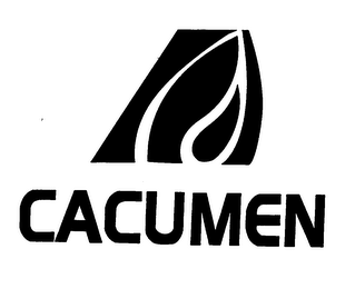 CACUMEN logo