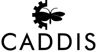 CADDIS logo