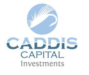 CADDIS CAPITAL INVESTMENTS logo
