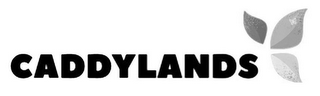 CADDYLANDS logo