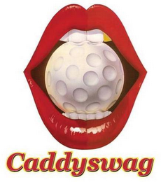 CADDYSWAG logo