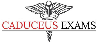 CADUCEUS EXAMS logo