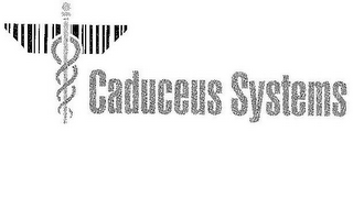 CADUCEUS SYSTEMS logo