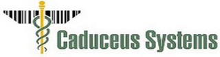 CADUCEUS SYSTEMS logo