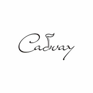 CADWAY logo