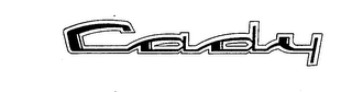 CADY logo