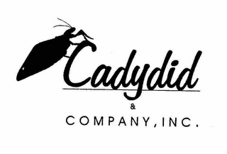 CADYDID & COMPANY, INC. logo