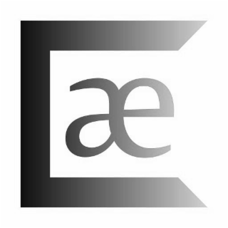CAE logo
