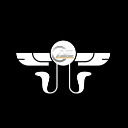 CAE C.REATE A.DAPT E.VOLVE logo