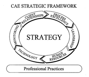 CAE STRATEGIC FRAMEWORK PROFESSIONAL PRACTICES CLIENT RELATIONSHIPS PROCESS EXCELLENCE LEADERSHIP HUMAN RESOURCES TECHNOLOGY MONITORING logo