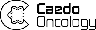 CAEDO ONCOLOGY logo