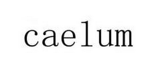 CAELUM logo
