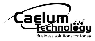 CAELUM TECHNOL GY BUSINESS SOLUTIONS FOR TODAY logo