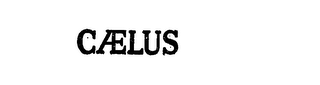 CAELUS logo