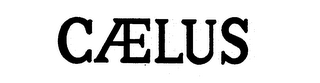 CAELUS logo