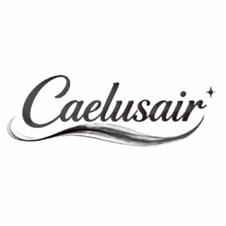 CAELUSAIR logo