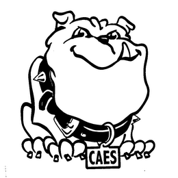 CAES logo