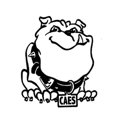 CAES logo